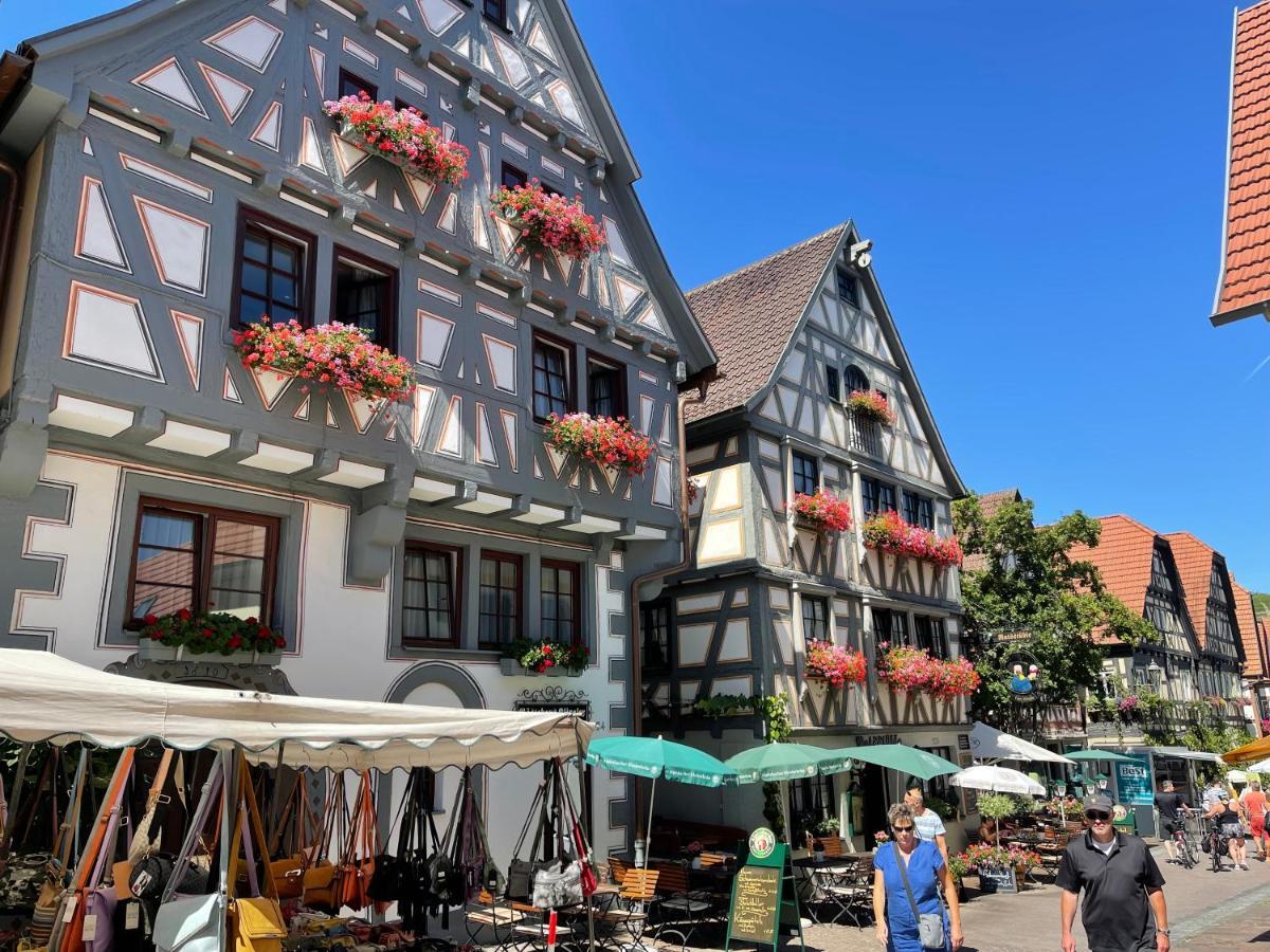 Hotel Gästehaus Klingler Besigheim Exterior foto